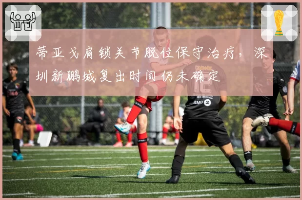 蒂亚戈肩锁关节脱位保守治疗，深圳新鹏城复出时间仍未确定