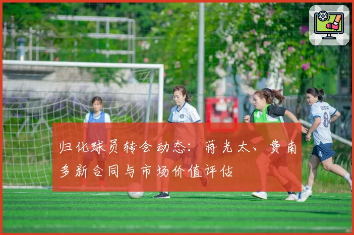 归化球员转会动态：蒋光太、费南多新合同与市场价值评估
