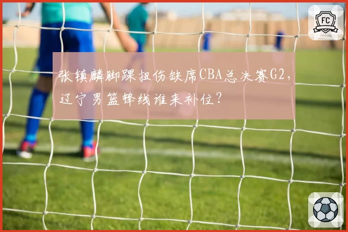 张镇麟脚踝扭伤缺席CBA总决赛G2,辽宁男篮锋线谁来补位?