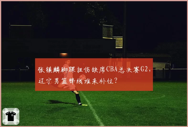 张镇麟脚踝扭伤缺席CBA总决赛G2,辽宁男篮锋线谁来补位?