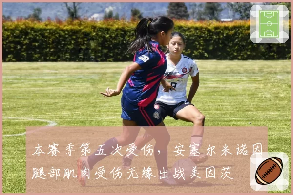 本赛季第五次受伤，安塞尔米诺因腿部肌肉受伤无缘出战美因茨