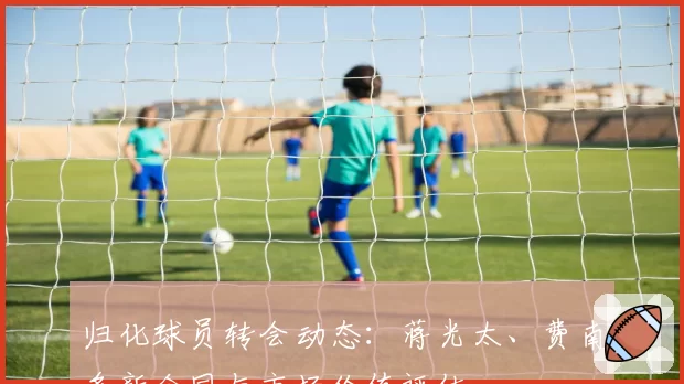 归化球员转会动态：蒋光太、费南多新合同与市场价值评估