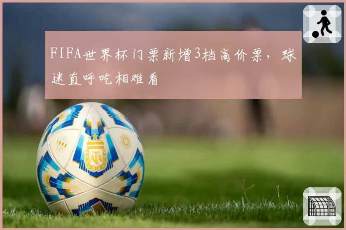 FIFA世界杯门票新增3档高价票，球迷直呼吃相难看