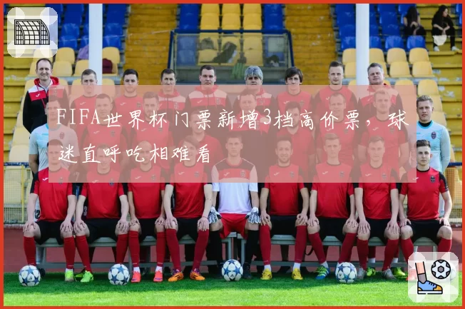 FIFA世界杯门票新增3档高价票，球迷直呼吃相难看